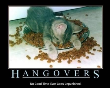 hangover cat