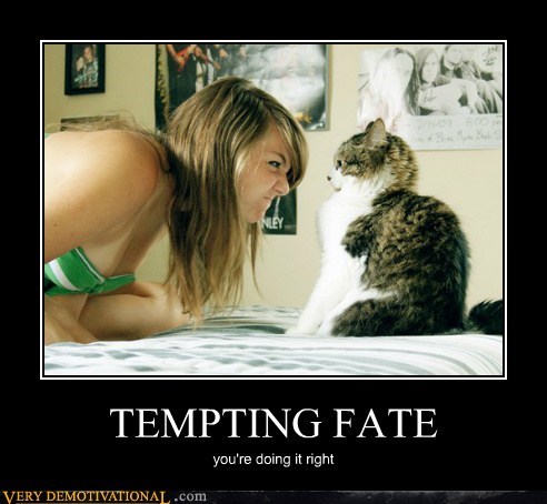 tempting-fate-kitty.jpg